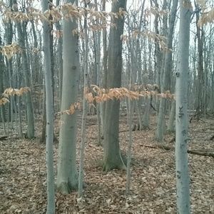 Meet your Posher, Theressa